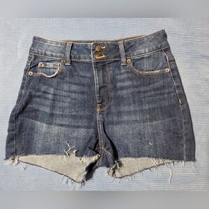 True Craft Women's Blue Jean Shorts